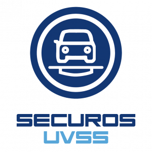 Logos SecurOS-33